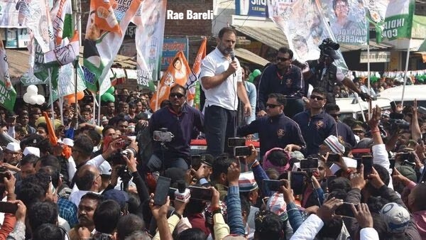 Rahul Gandhi Rae Bareli News